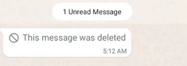 deleted GB messages